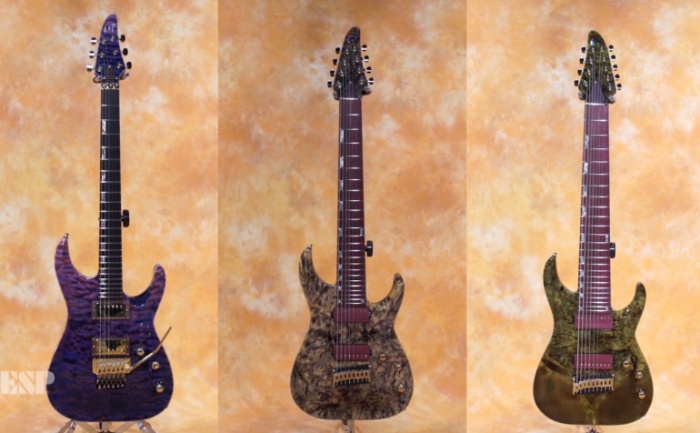 ESP Exhibition Series 2017